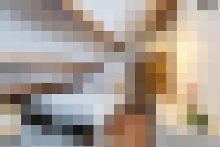 Baronielaan 15 Goirle thumbnail 44