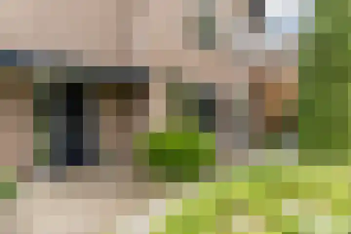 Baronielaan 15 Goirle thumbnail 45