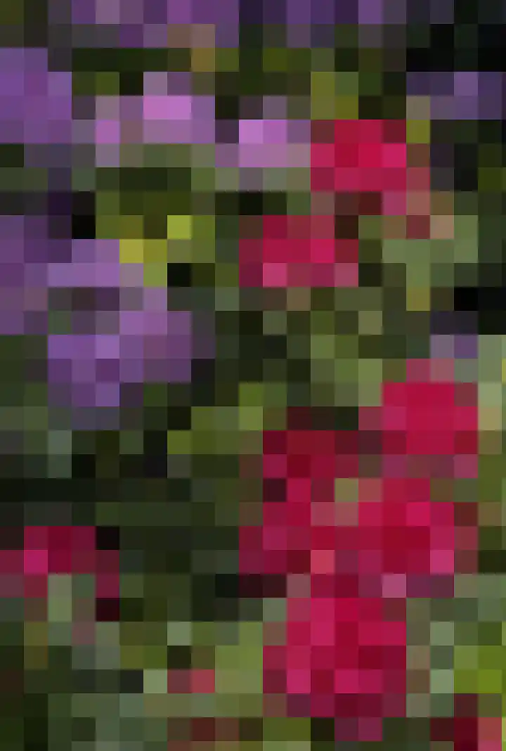 Baronielaan 15 Goirle thumbnail 46