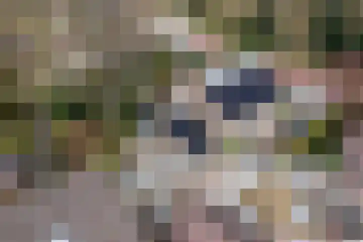 Baronielaan 15 Goirle thumbnail 48
