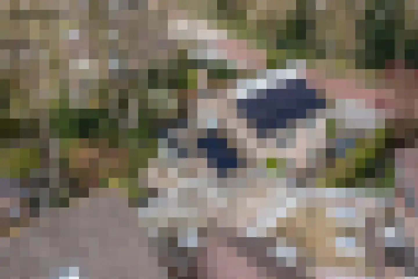 Baronielaan 15 Goirle thumbnail 48