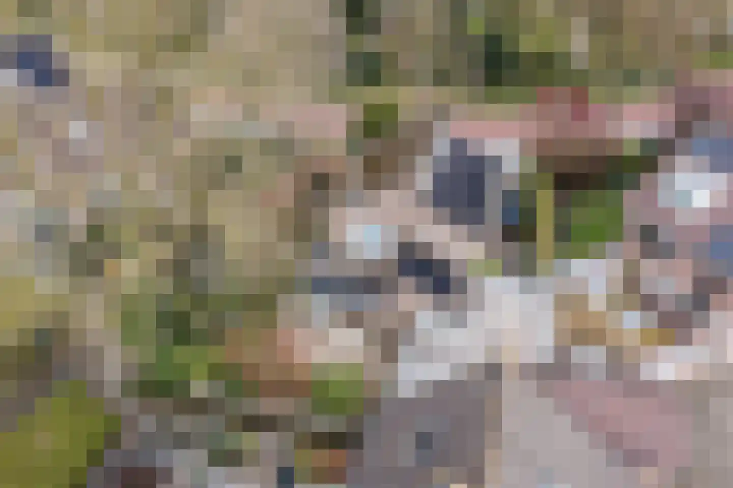 Baronielaan 15 Goirle thumbnail 49