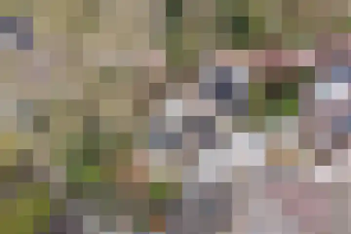 Baronielaan 15 Goirle thumbnail 49