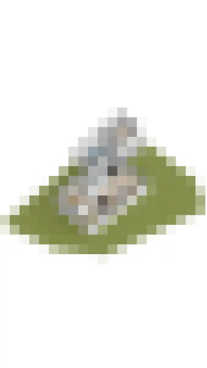 Baronielaan 15 Goirle thumbnail 51