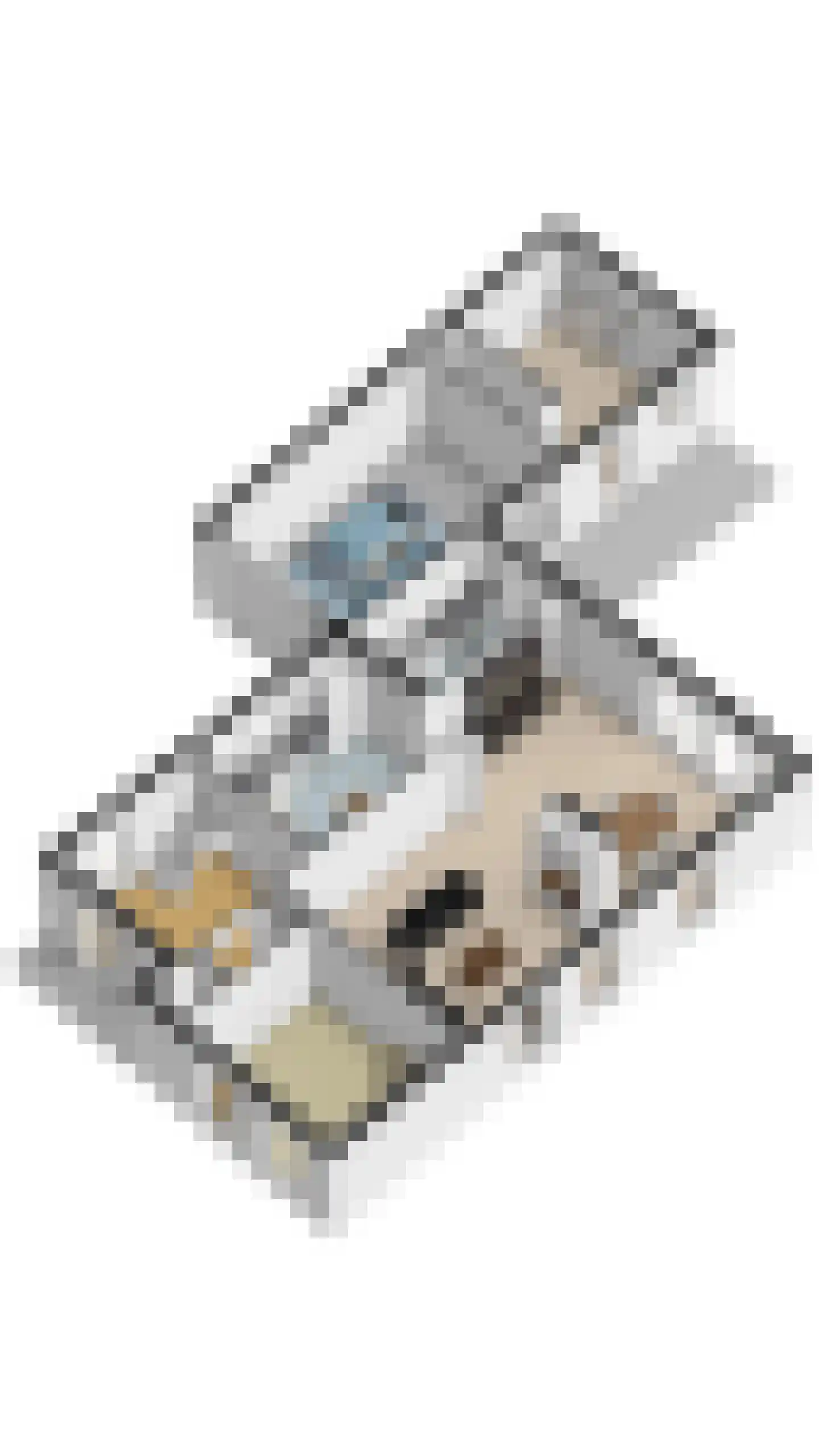 Baronielaan 15 Goirle thumbnail 53