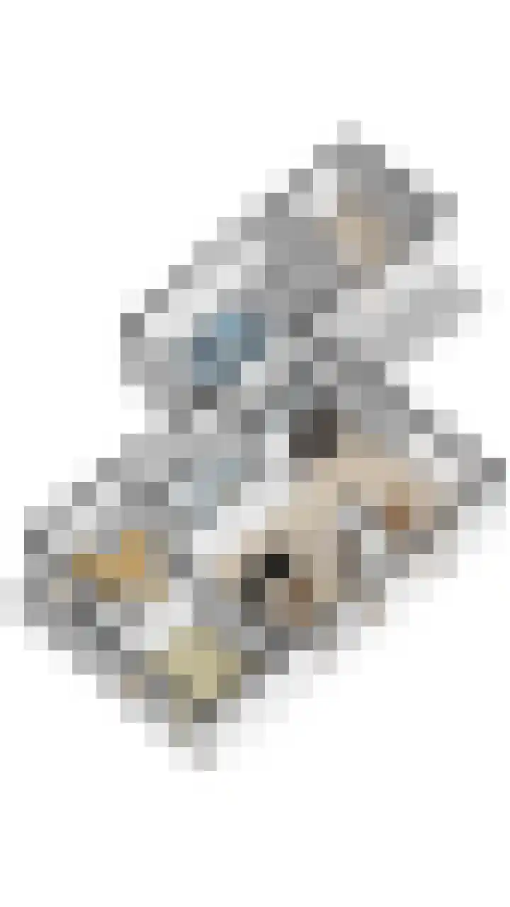 Baronielaan 15 Goirle thumbnail 53