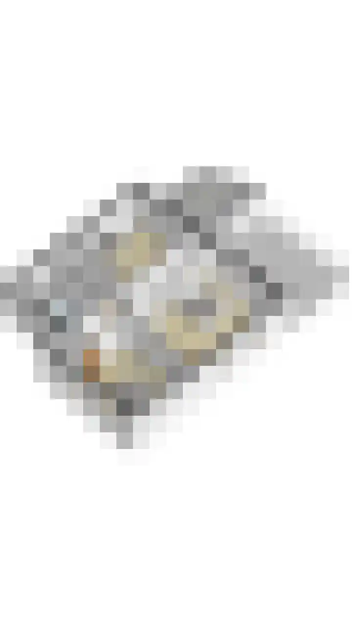 Baronielaan 15 Goirle thumbnail 55