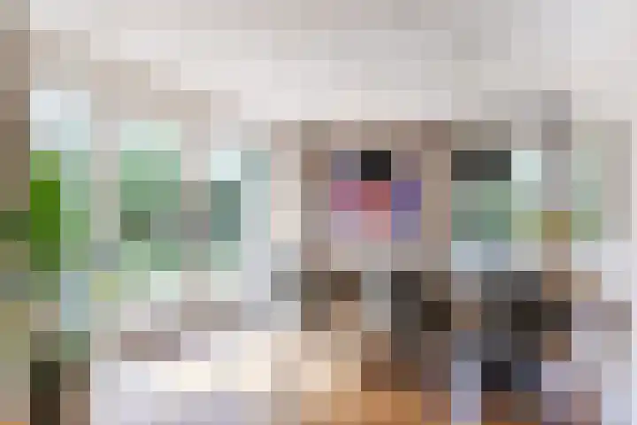 Baronielaan 15 Goirle thumbnail 7