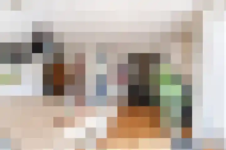 Baronielaan 15 Goirle thumbnail 8
