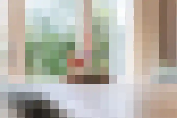 Baronielaan 15 Goirle thumbnail 9