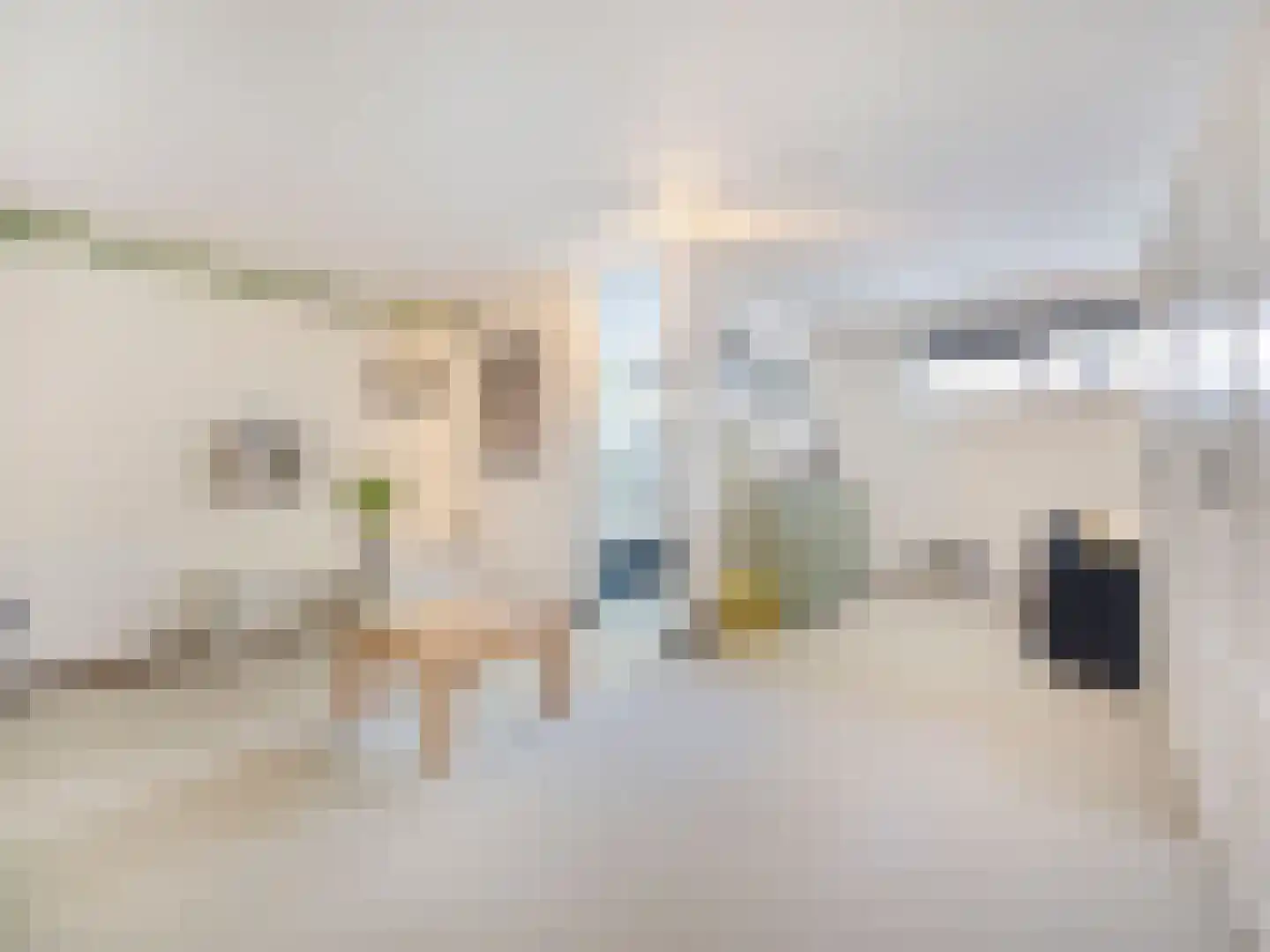 Baronielaan 16 Wassenaar thumbnail 17