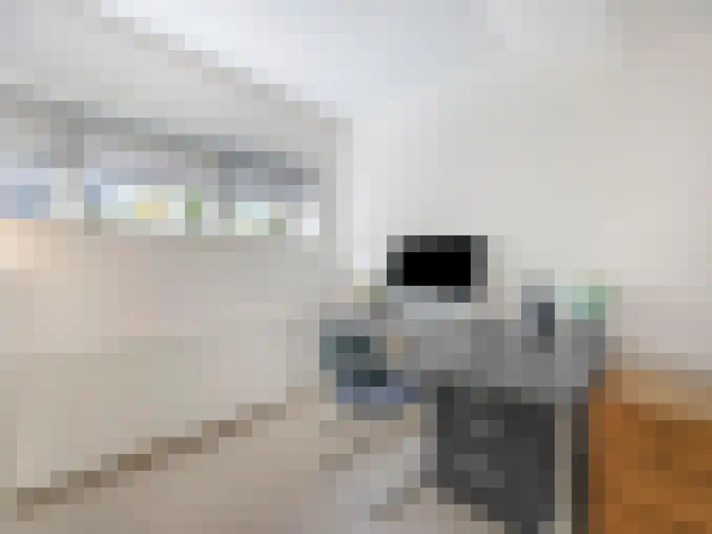 Baronielaan 16 Wassenaar thumbnail 19