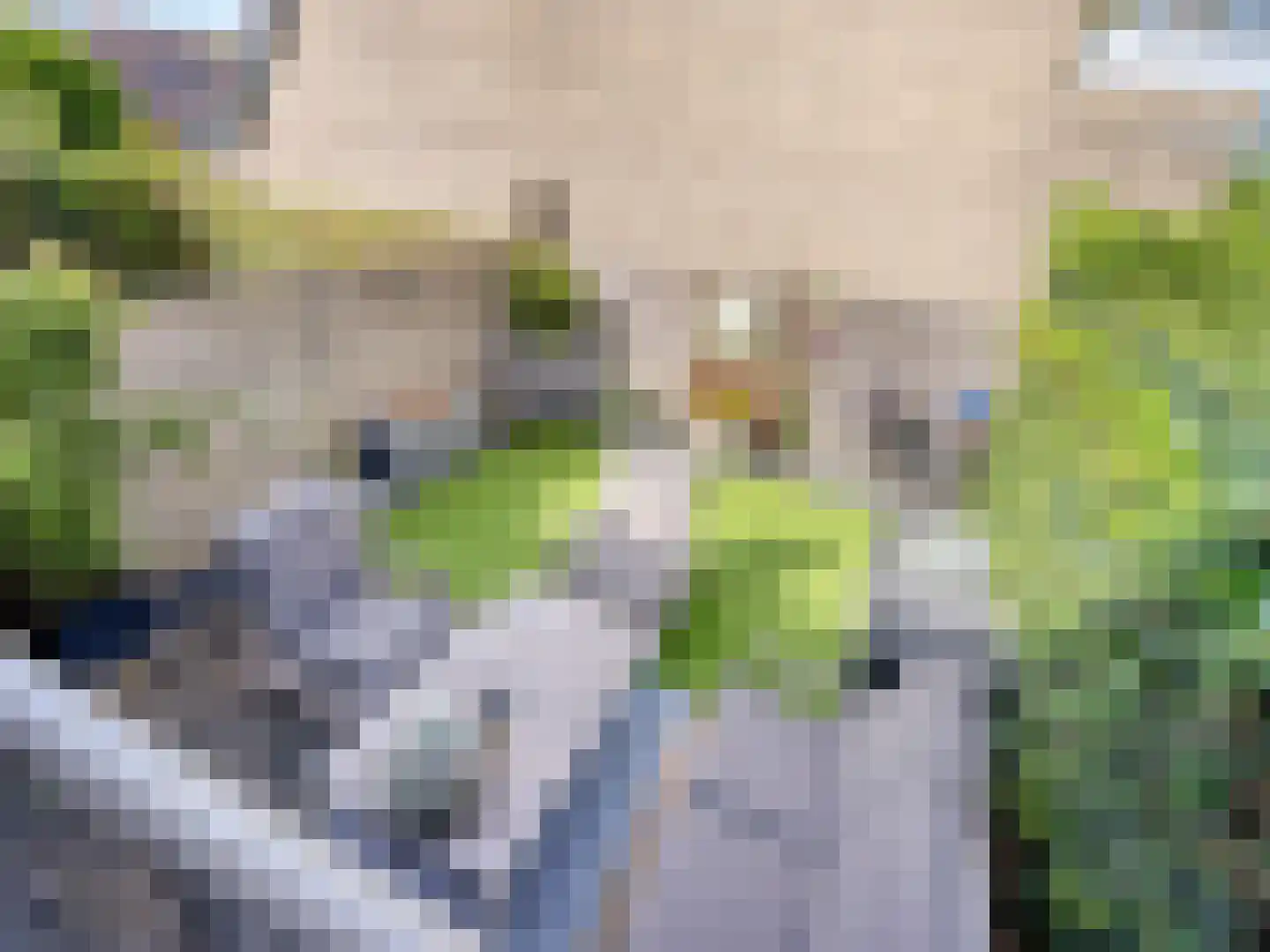 Baronielaan 16 Wassenaar thumbnail 4