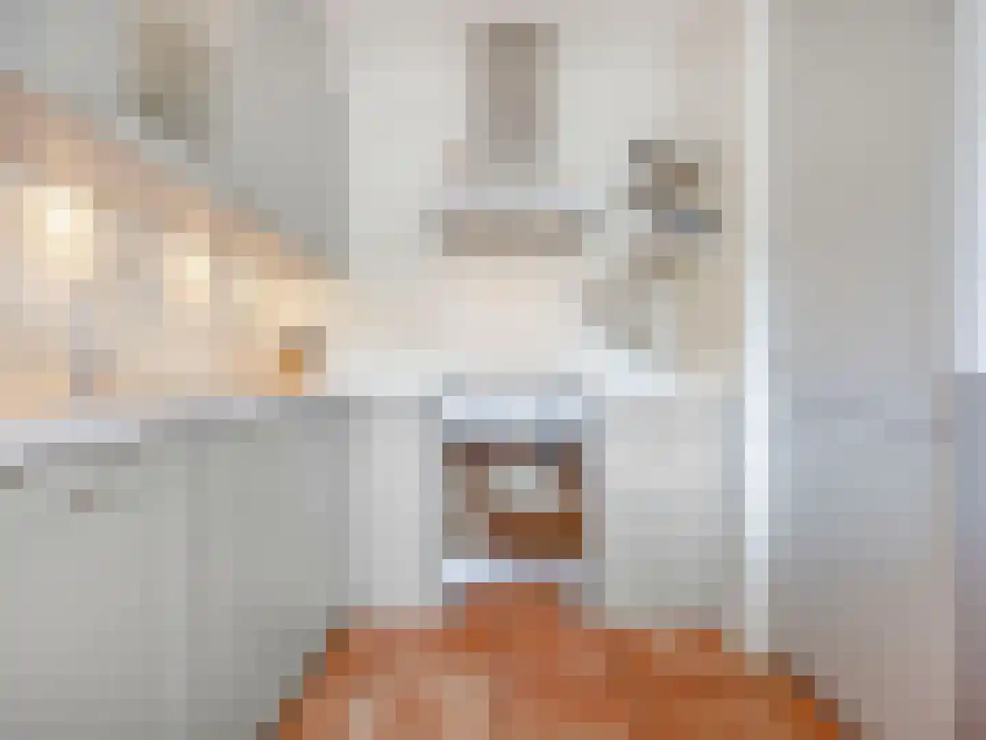 Baronielaan 16 Wassenaar thumbnail 9