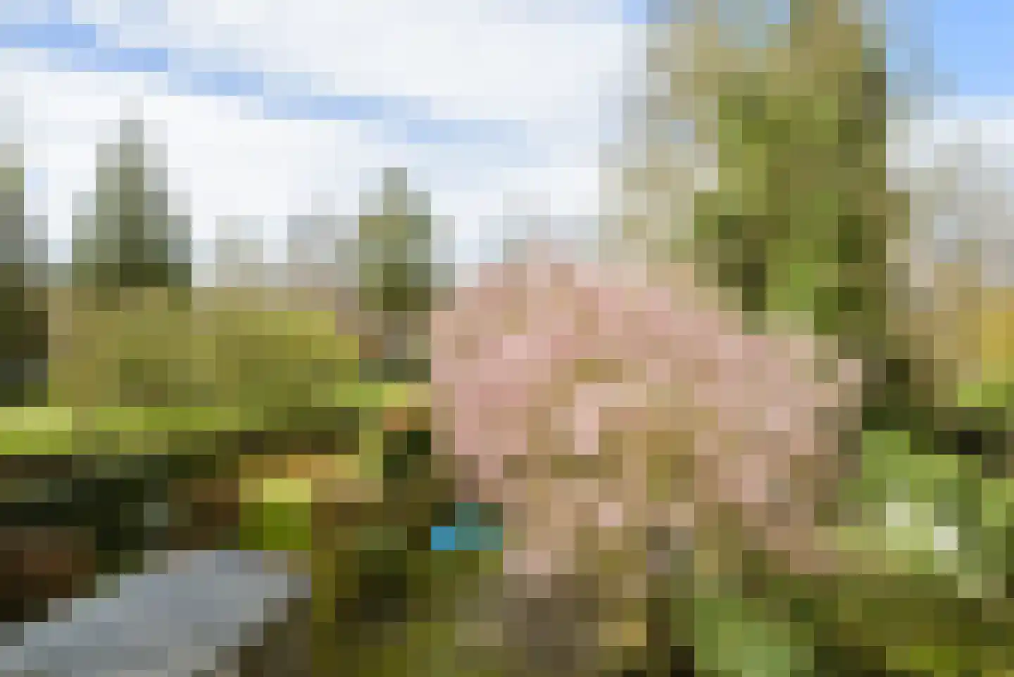 Baronielaan 168 Breda thumbnail 35