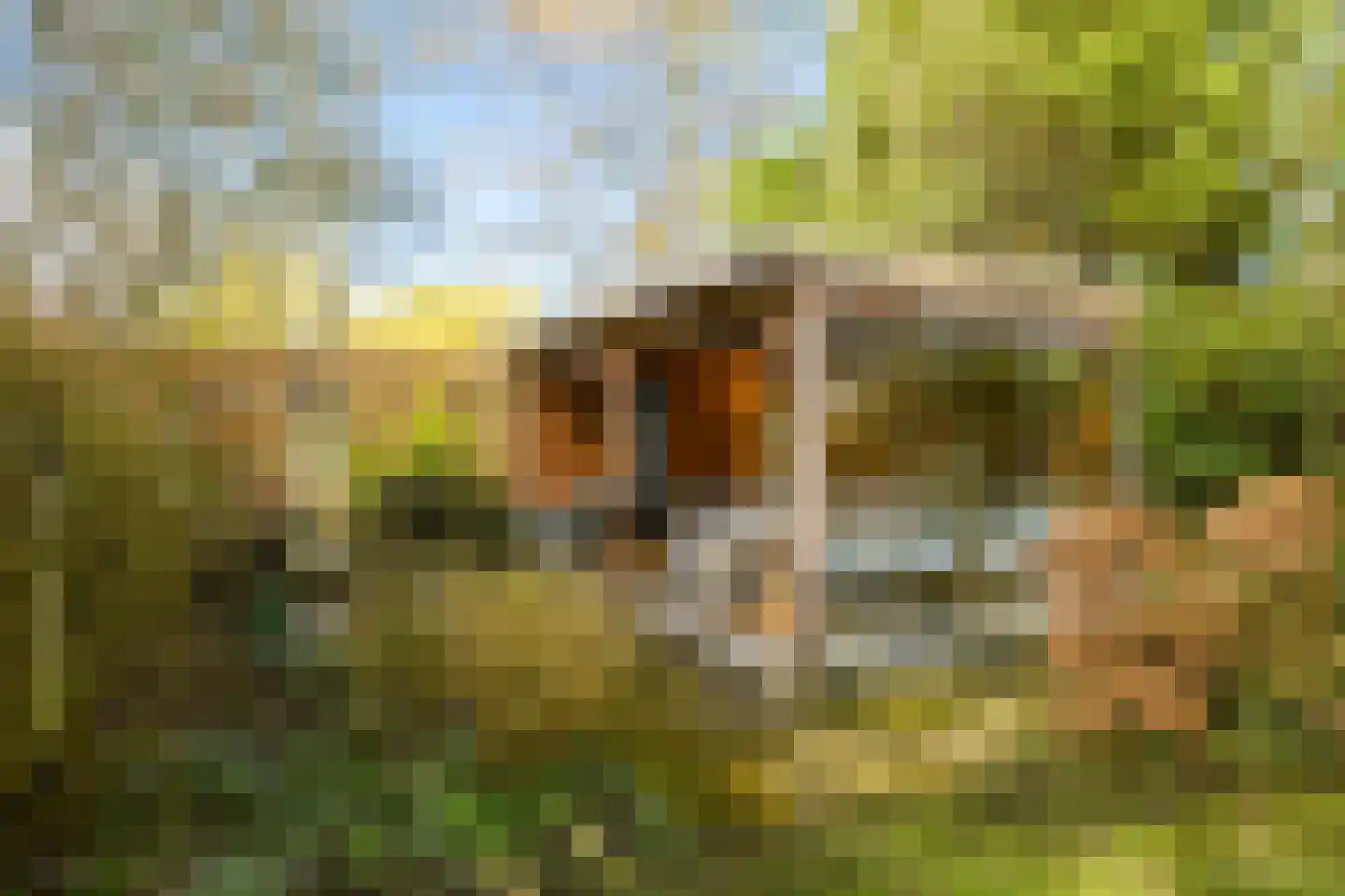 Baronielaan 168 Breda thumbnail 53