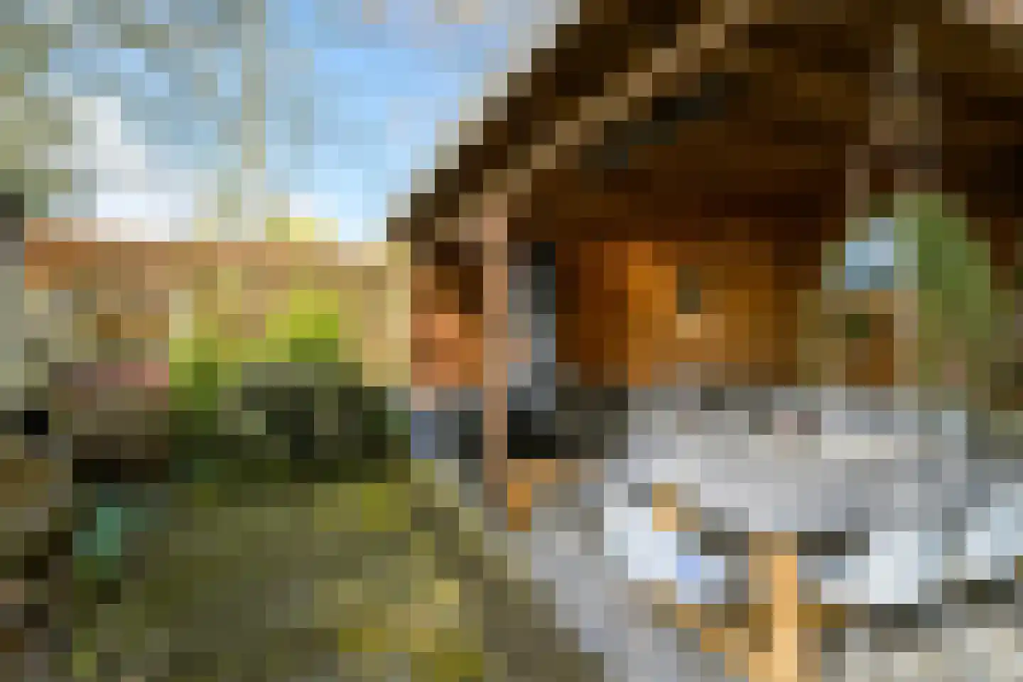 Baronielaan 168 Breda thumbnail 54