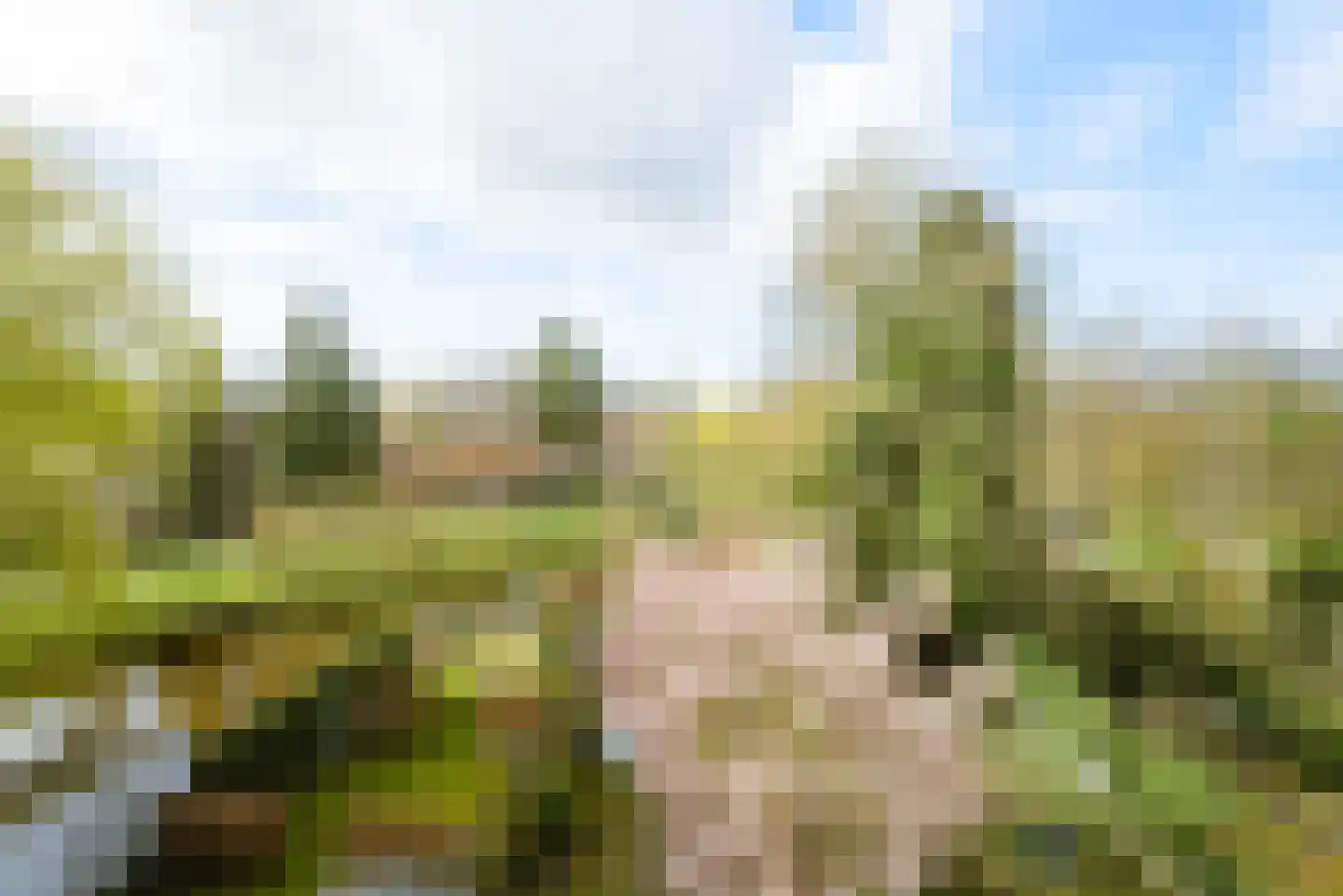 Baronielaan 168 Breda thumbnail 55