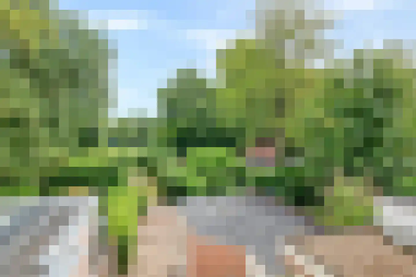 Baronielaan 177 Breda thumbnail 46