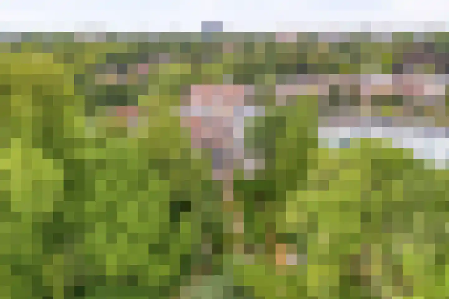 Baronielaan 177 Breda thumbnail 63