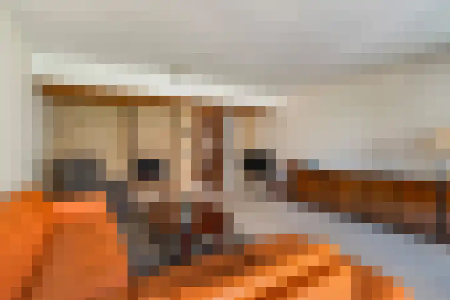 Baronielaan 18 Wassenaar thumbnail 10