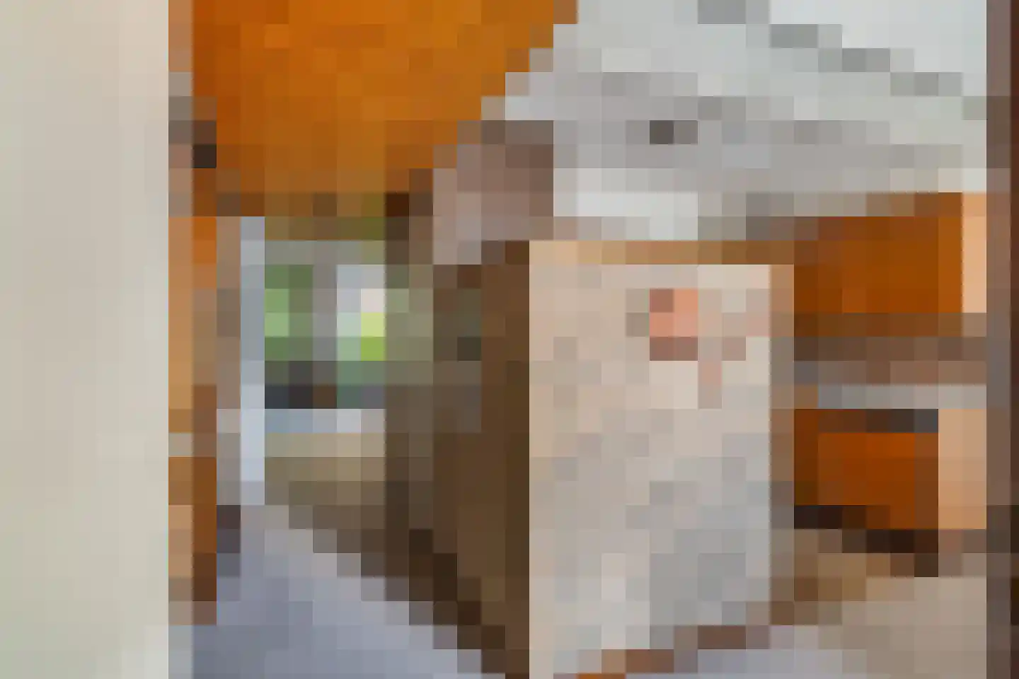 Baronielaan 18 Wassenaar thumbnail 12