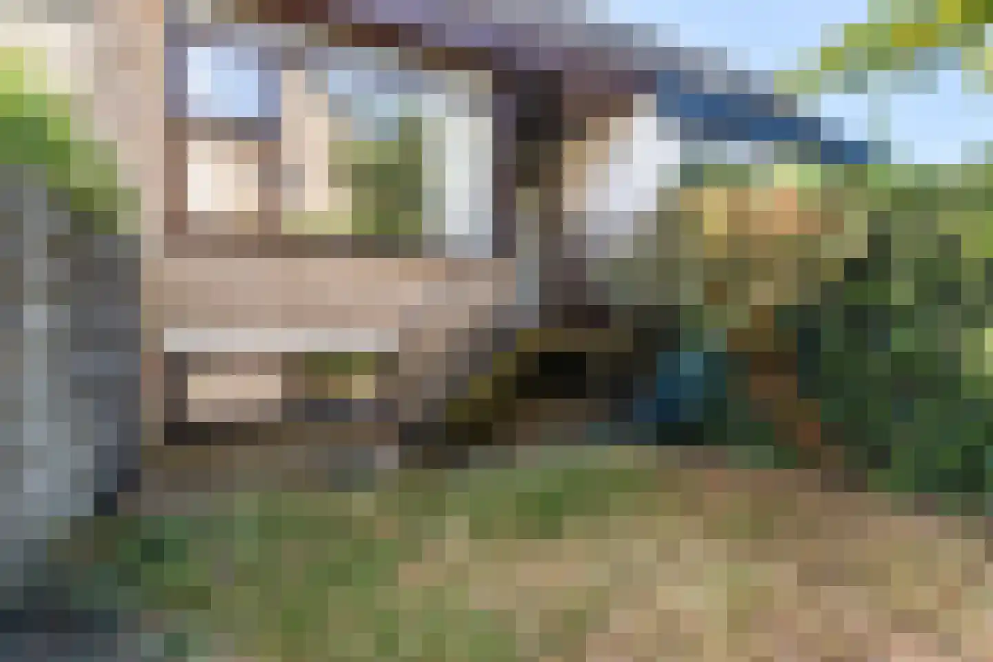 Baronielaan 18 Wassenaar thumbnail 17