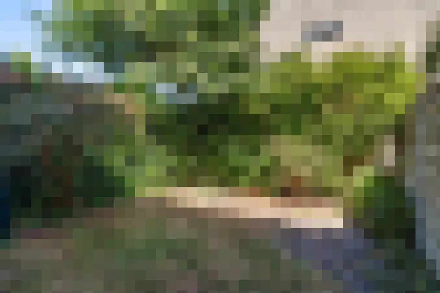 Baronielaan 18 Wassenaar thumbnail 32
