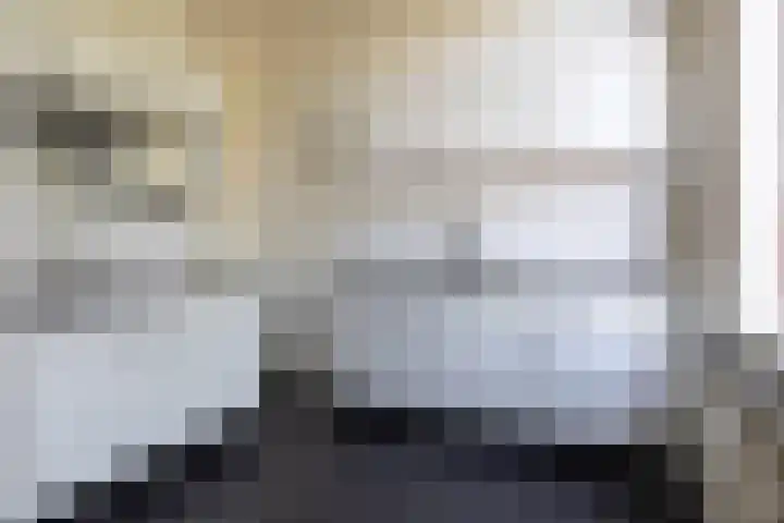 Baronielaan 199 A Breda thumbnail 11
