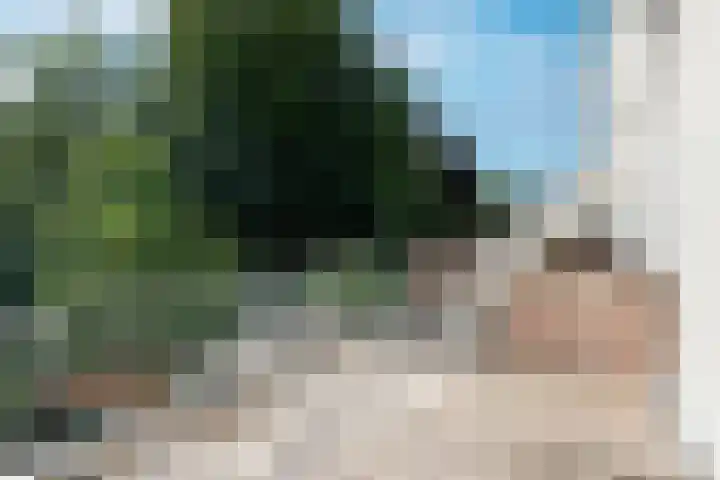 Baronielaan 199 A Breda thumbnail 18