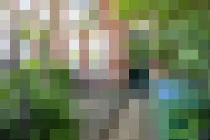 Baronielaan 199 A Breda thumbnail 4