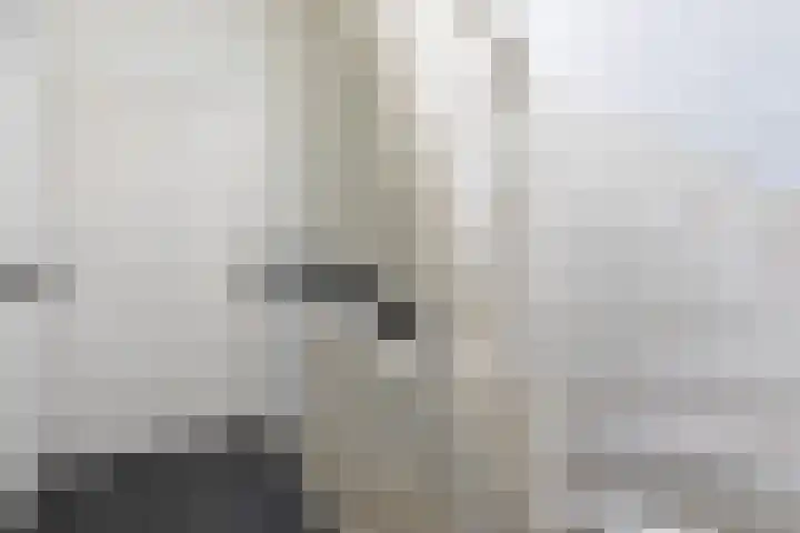 Baronielaan 199 A Breda thumbnail 6