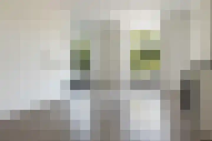 Baronielaan 199 A Breda thumbnail 9