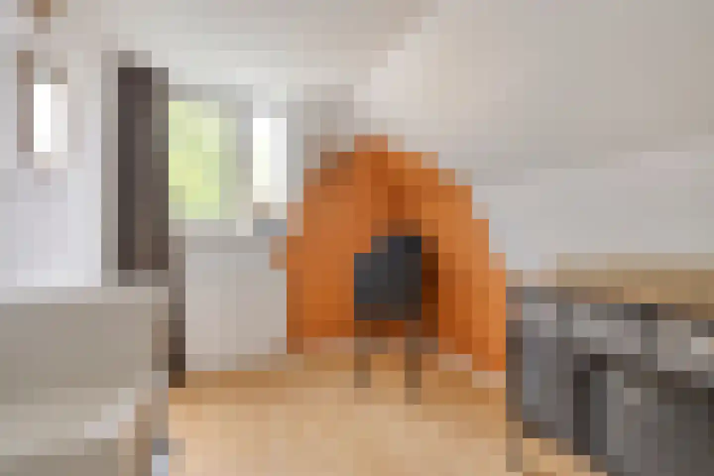 Baronielaan 2 Alphen thumbnail 17