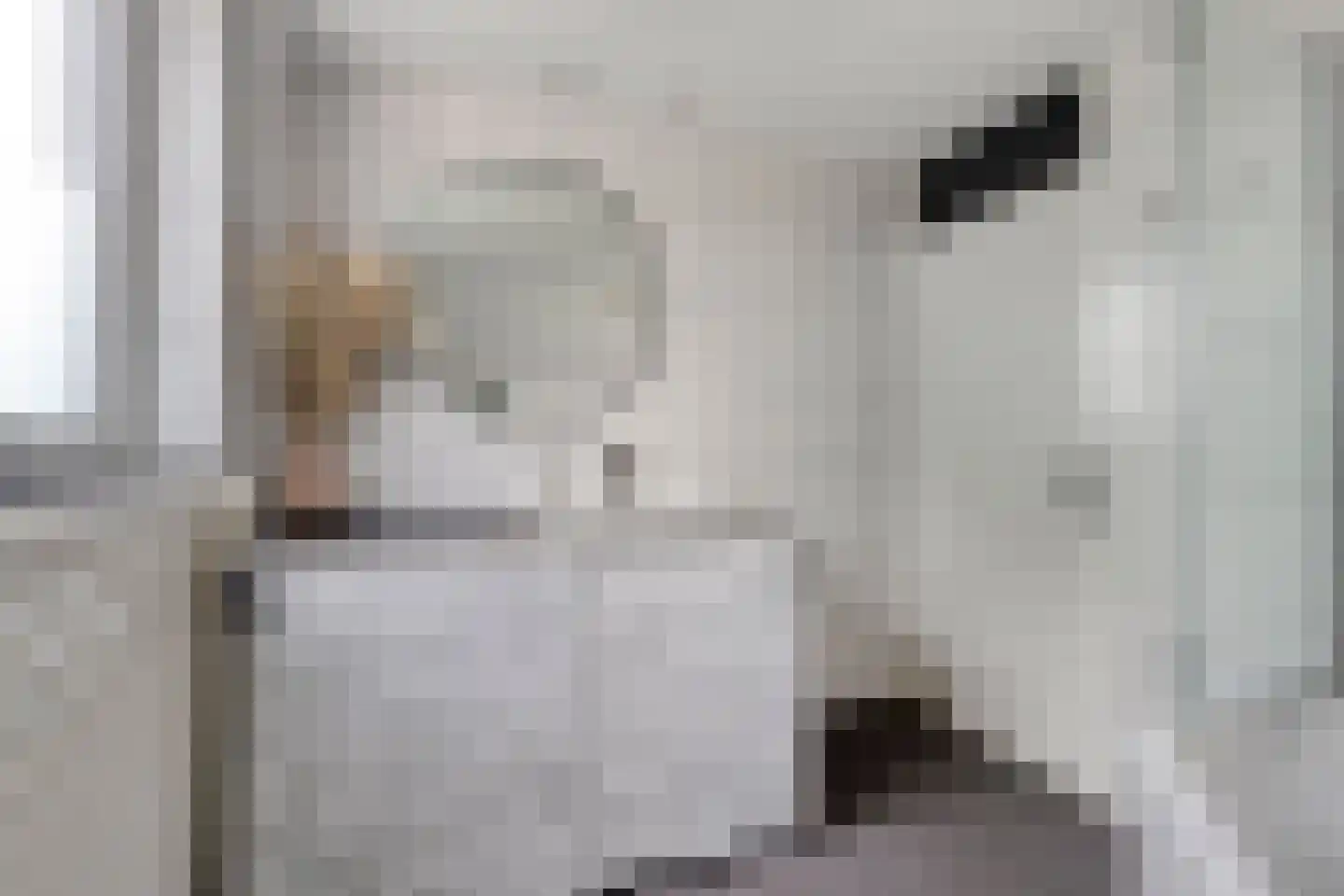 Baronielaan 2 Alphen thumbnail 19