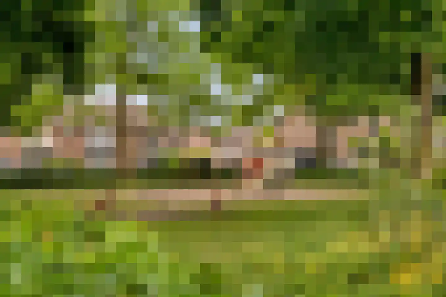 Baronielaan 2 Alphen thumbnail 26