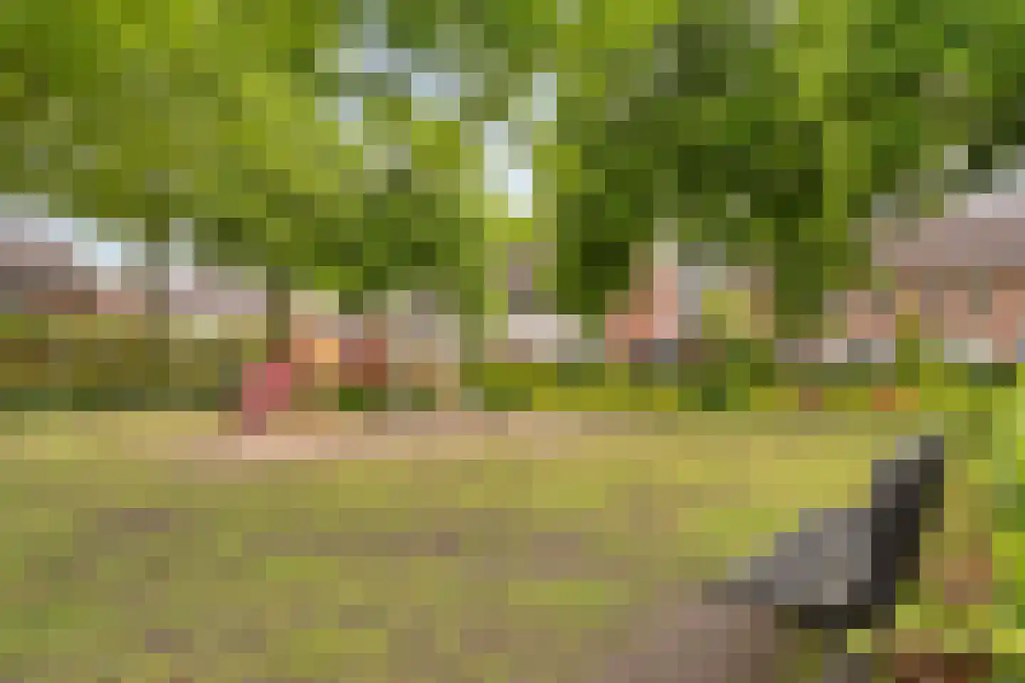 Baronielaan 2 Alphen thumbnail 27