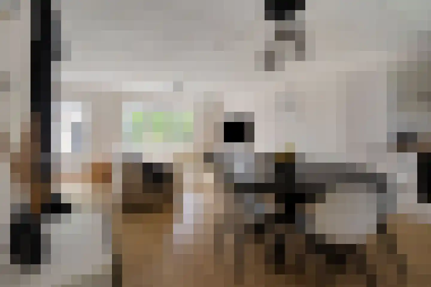 Baronielaan 2 Alphen thumbnail 5