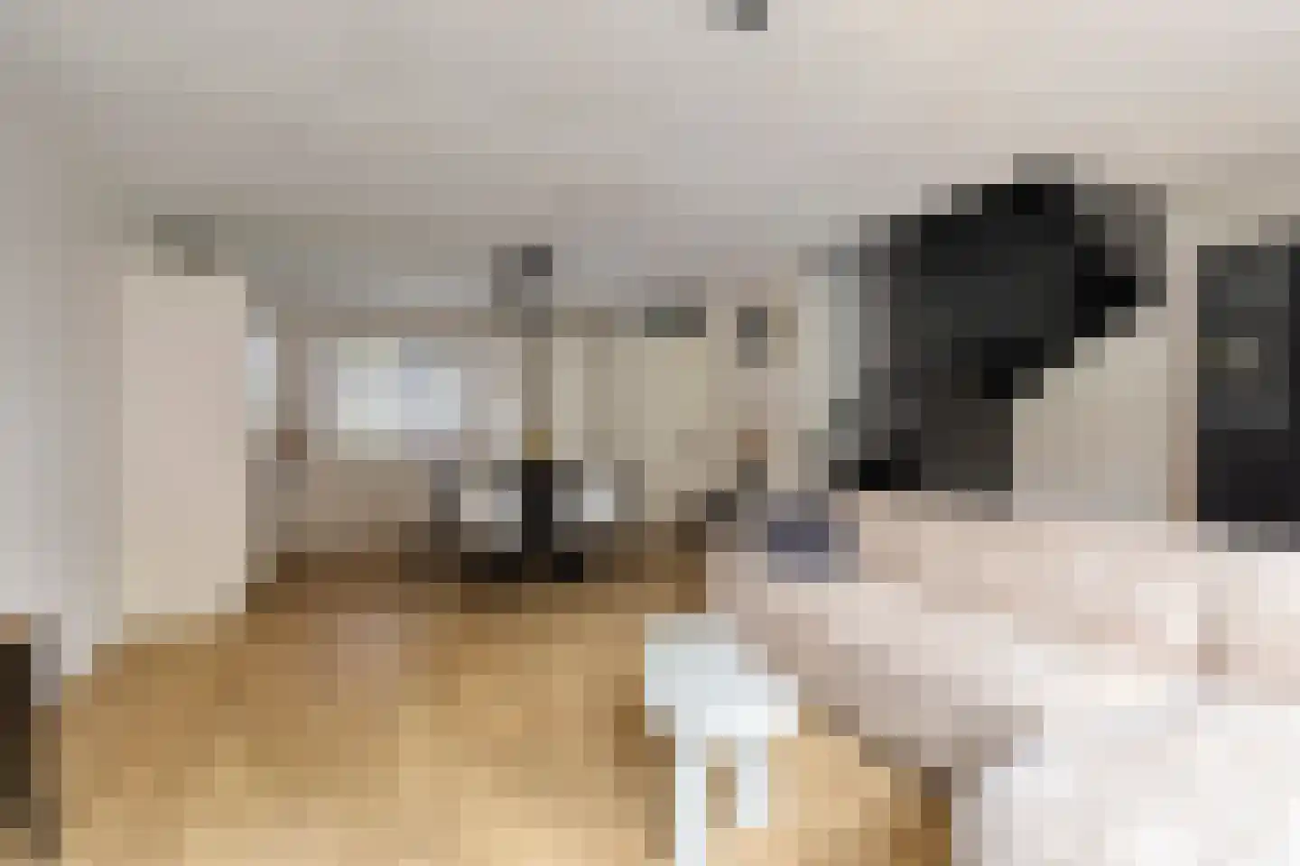 Baronielaan 2 Alphen thumbnail 8