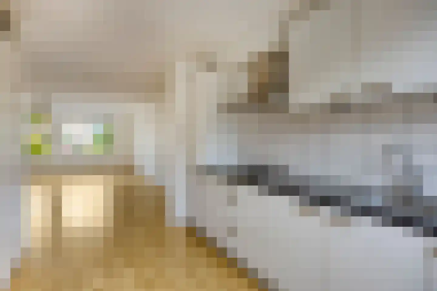 Baronielaan 21 Emmeloord thumbnail 10