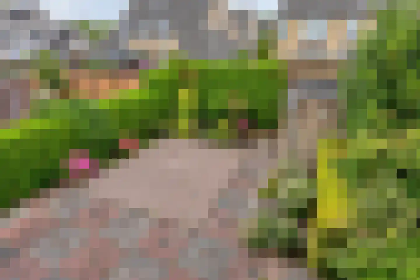 Baronielaan 21 Emmeloord thumbnail 21