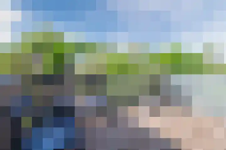 Baronielaan 212 Breda thumbnail 15