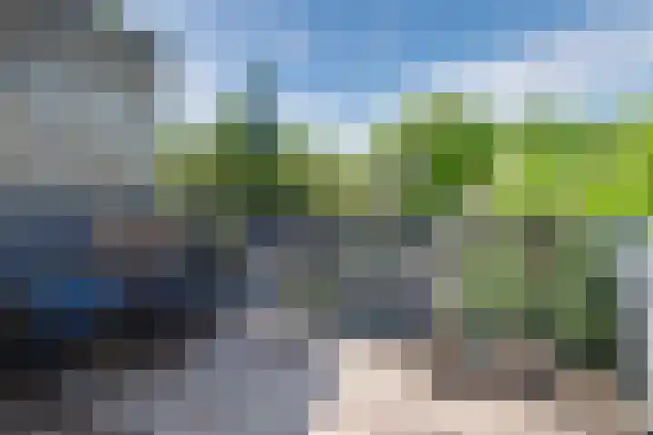 Baronielaan 212 Breda thumbnail 16