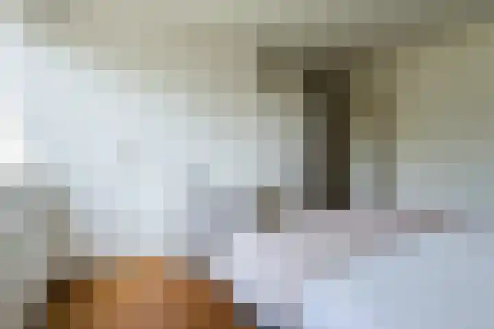 Baronielaan 212 Breda thumbnail 24