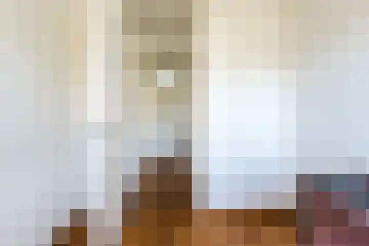 Baronielaan 212 Breda thumbnail 26