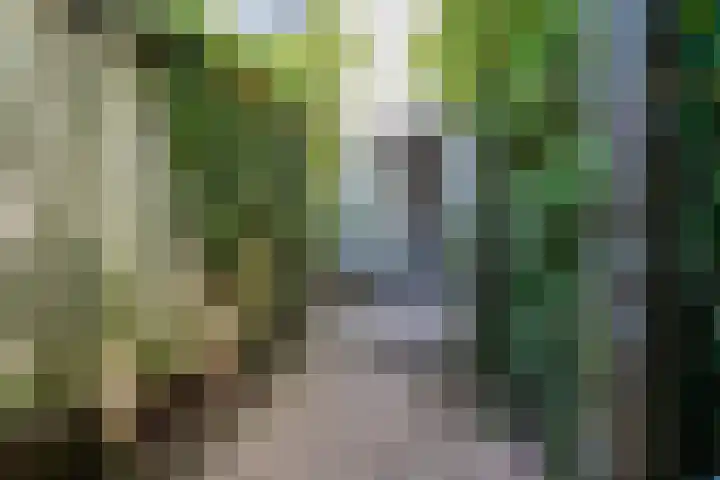 Baronielaan 212 Breda thumbnail 32