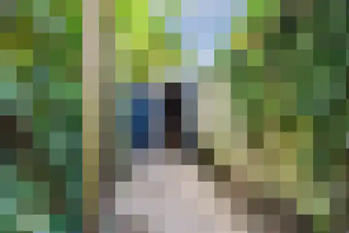Baronielaan 212 Breda thumbnail 33
