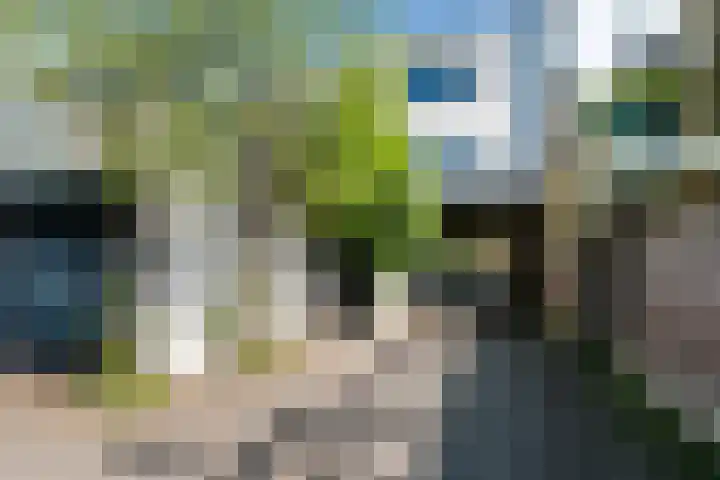 Baronielaan 212 Breda thumbnail 36