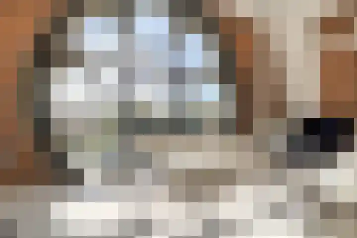Baronielaan 22 C5 Breda thumbnail 10