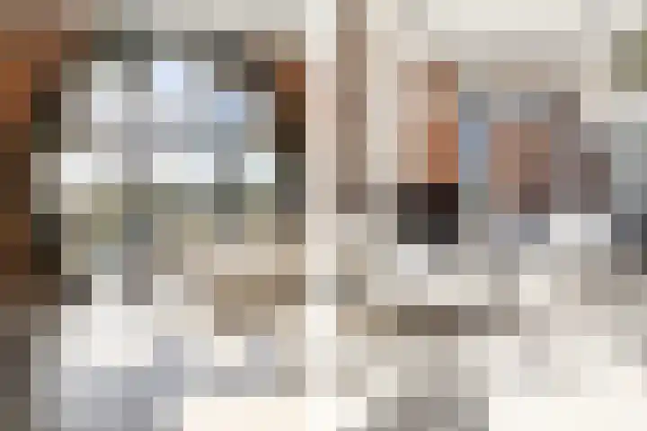 Baronielaan 22 C5 Breda thumbnail 11